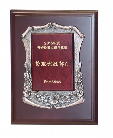 2015年杭州市投资和重点项目管理优胜部门